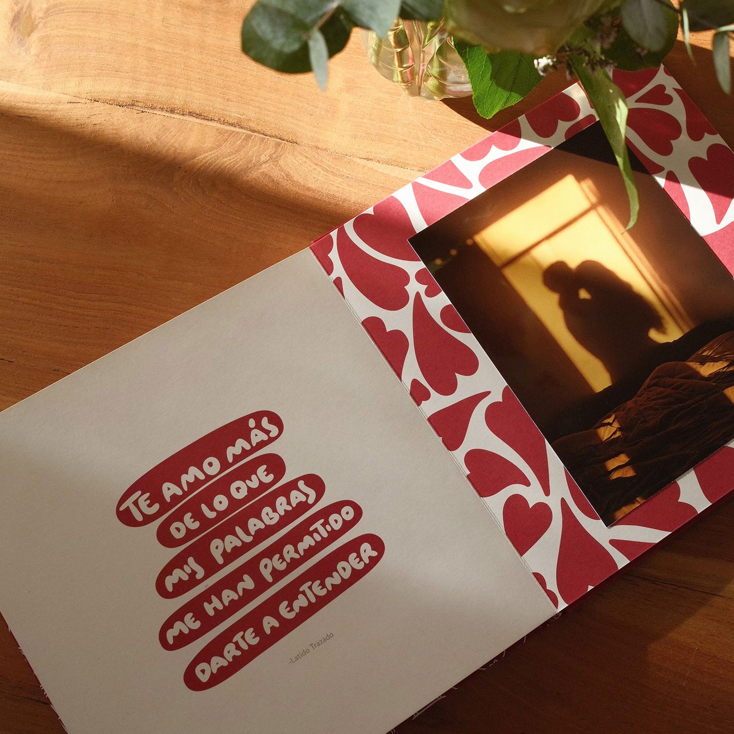 LIBRO-ÁLBUM: Verte, Elegirte y Amarte.